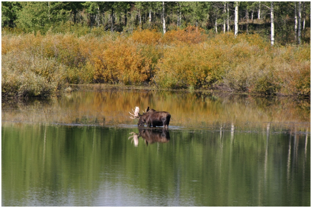 01 - Grand teton NP (03) - Elan.jpg